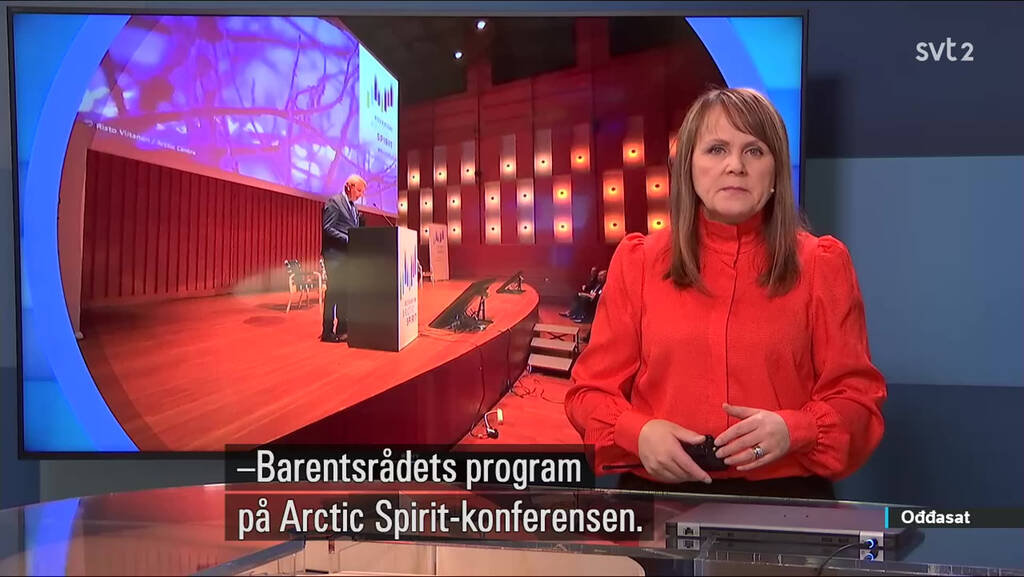 www.svtplay.se