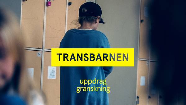 Uppdrag granskning  SVT Play