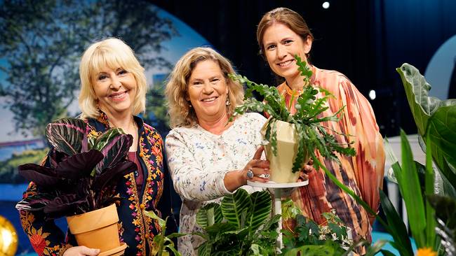 Go`kväll - Pia Johansson, krukväxter och tv-serietips