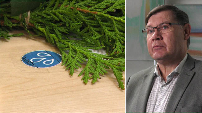 Gift Vid Första ögonkastet 2022 Svt