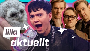 lilla-aktuellt-och-lilla-aktuellt-skola