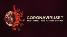 Coronaviruset sprids över världen och många fruktar en ny pandemi. Men hur startade utbrottet och varför reagerade de kinesiska myndigheterna så sent?