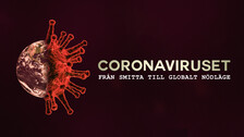 Coronaviruset sprids över världen och många fruktar en ny pandemi. Men hur startade utbrottet och varför reagerade de kinesiska myndigheterna så sent?