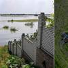 Översvämningarna efter den brustna dammen och en traktor som skördar en åker i Chersonregionen, några veckor tidigare
