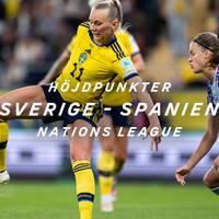 Höjdpunkter Sverige-Spanien