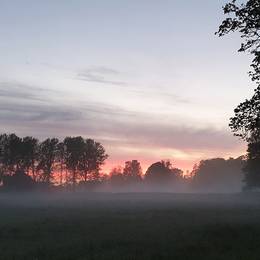 Vad är negativa joner