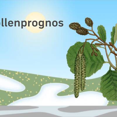 Pollenprognos