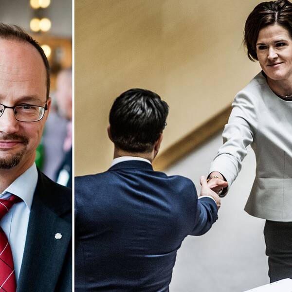 Tomas Eneroth gruppledare för S i riksdagen, och Anna Kinberg Batra skakar hand med Jimmy Åkesson.