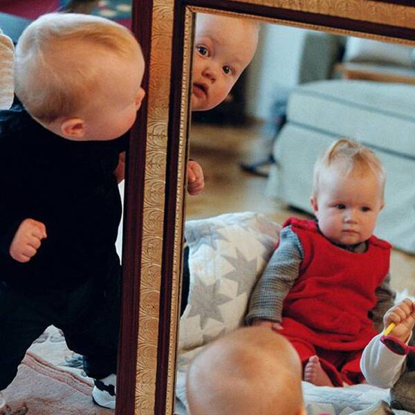 bebisar som kikar i en spegel.