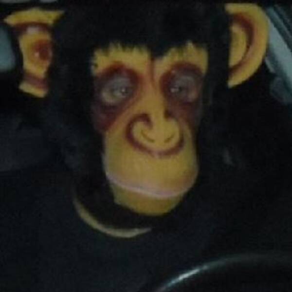En man iklädd schimpansmask har gäckat polisen i Dalarna.