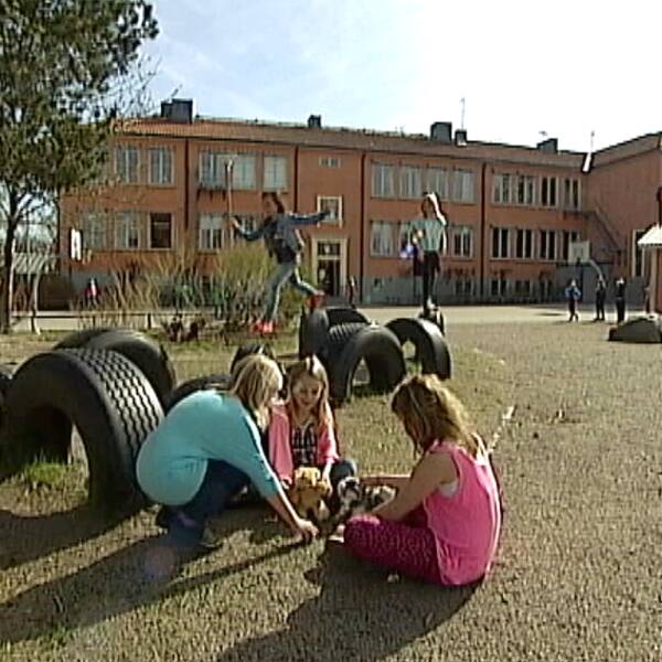 Skolgård