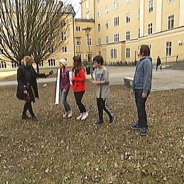 Elever på Erlaskolan i Norrköping vill ha en skolgård.