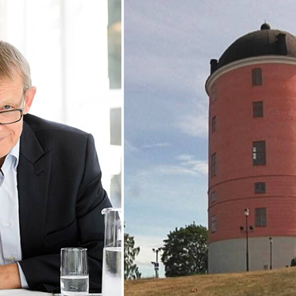 montage. till vänster Hans Rosling. Till höger Uppsala Slott.