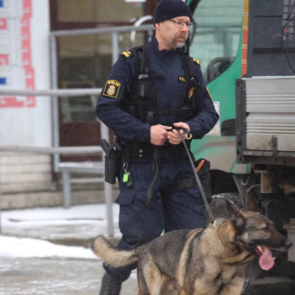 Polis med polishund