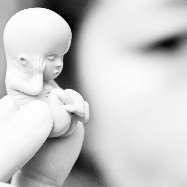 En kvinna håller upp en modell av ett litet foster vid en demonstration mot aborter i Irland 2012.