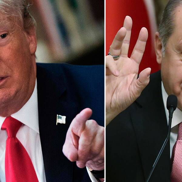 USA:s och Turkiets respektive presidenter Trump och Erdogan.