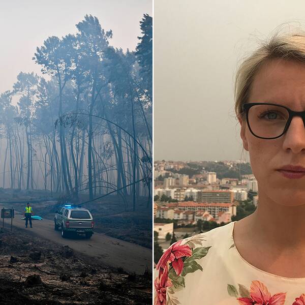 SVT:s Ausi Petrelius är bara kilometer från den mest brandhärjade delen av Portugal: ”Det regnar askflagor”.
