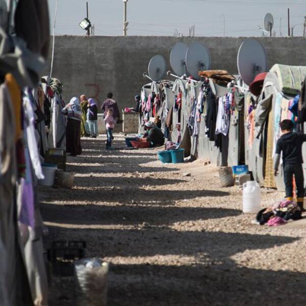 UNHCR: Rekordmånga på flykt
