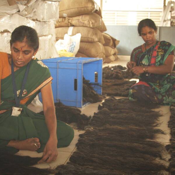 Uppdrag granskning visar hur håret passerar genom fabriker och distributörer där kvinnor från landsbygden inte sällan arbetar för löner som ligger under indiska minimilöner.