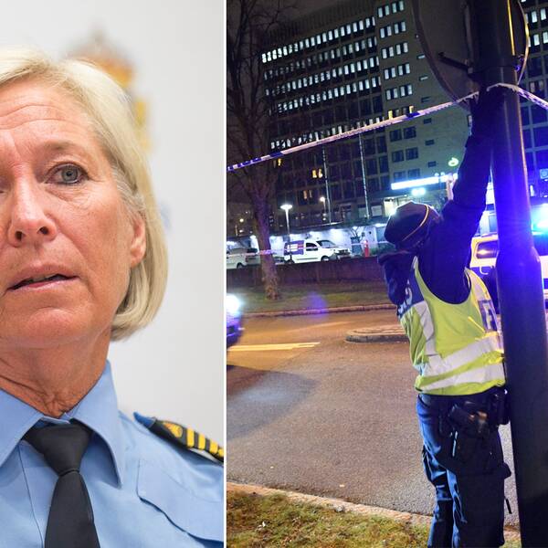 Carina Persson, regionpolischef i Syd