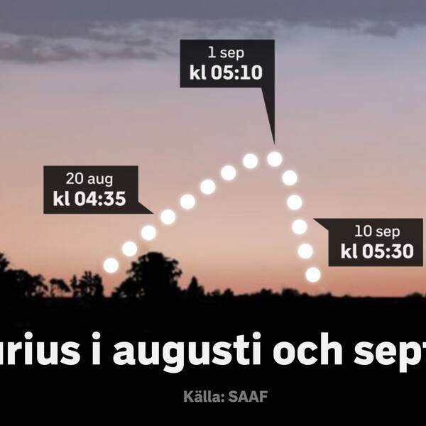 Från nu till en bit i september kan du se Merkurius.
