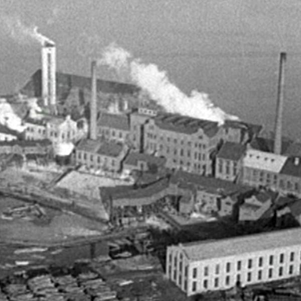 Kramfors sulfitmassafabrik 1936