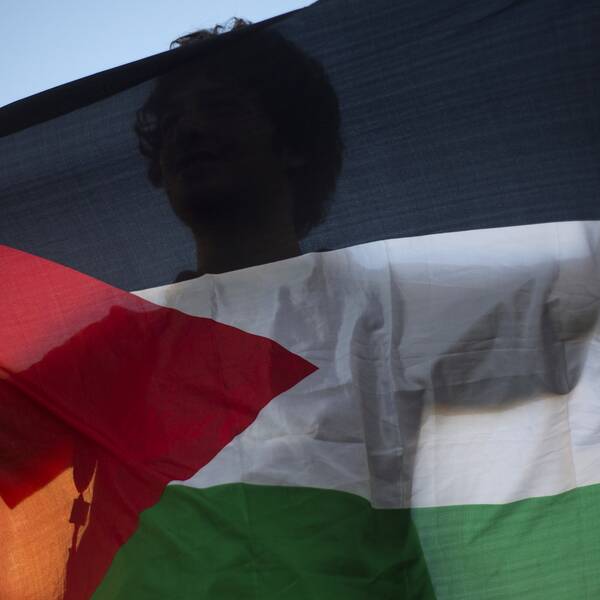 Palestinsk flagga