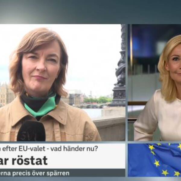 Bild från sändningen dagen efter EU-valet.