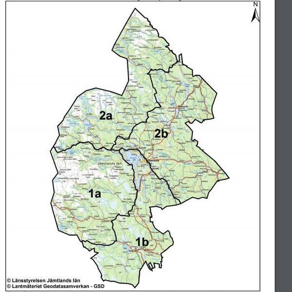 Mer än hälften av björnarna i Jämtland och Härjedalen fällda SVT Nyheter
