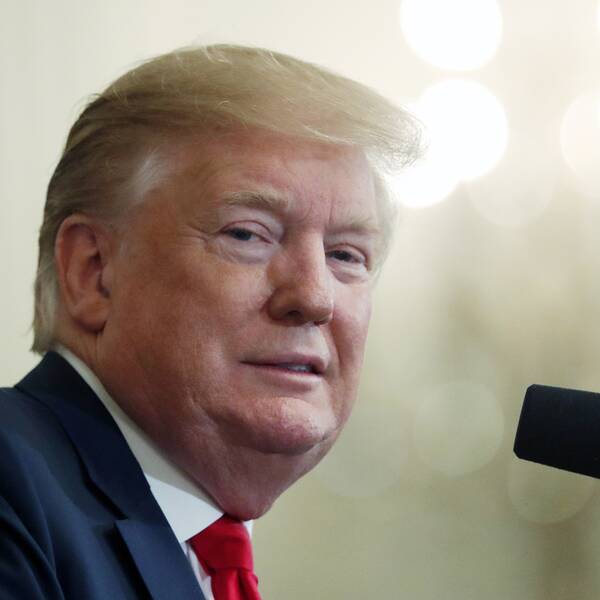 Trump och hans advokater vässar knivarna inför tisdagens riksrättsprocess.