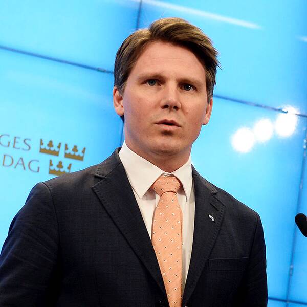 Erik Ullenhag, Folkpartiets ekonomiskpolitiske talesperson