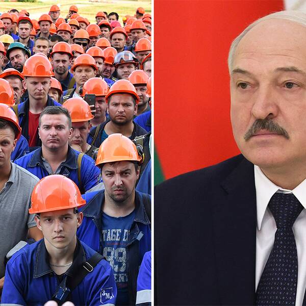 Fabriksarbetare deltar i ett protestmöte mot Lukasjenko kort efter valet i augusti/Vitrysslands president Aleksandr Lukasjenko