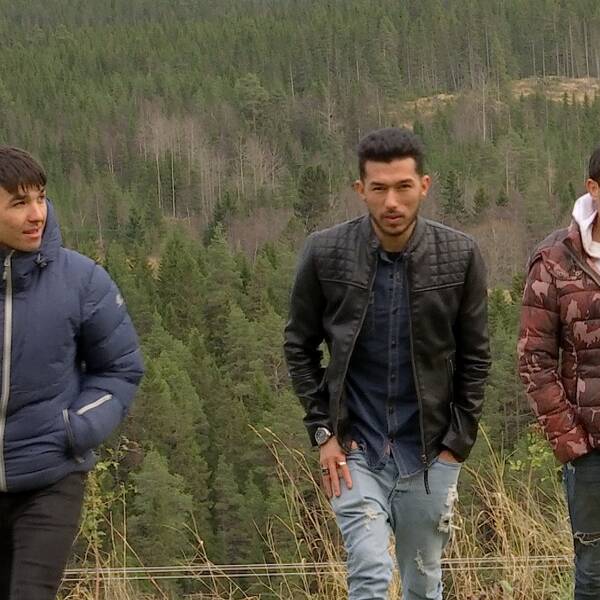 tre killar på promenad i Åre, skog och stugor i bakgrunden