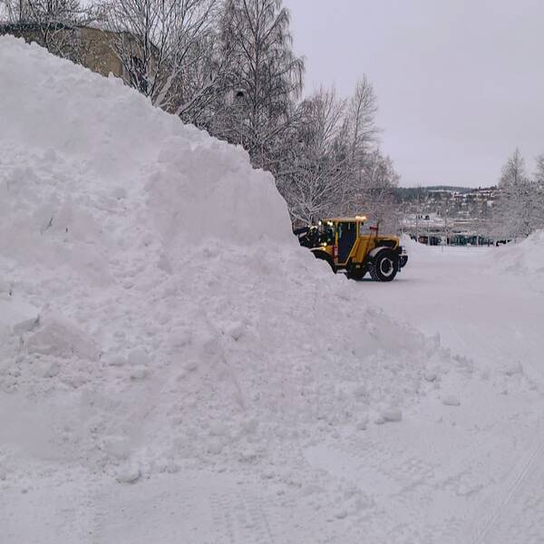 jättelik snöhög i förgrund, en fotgängare och en traktor som arbetar med snöröjning