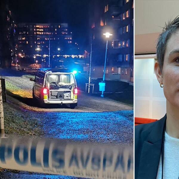 Mordet i Korsta.