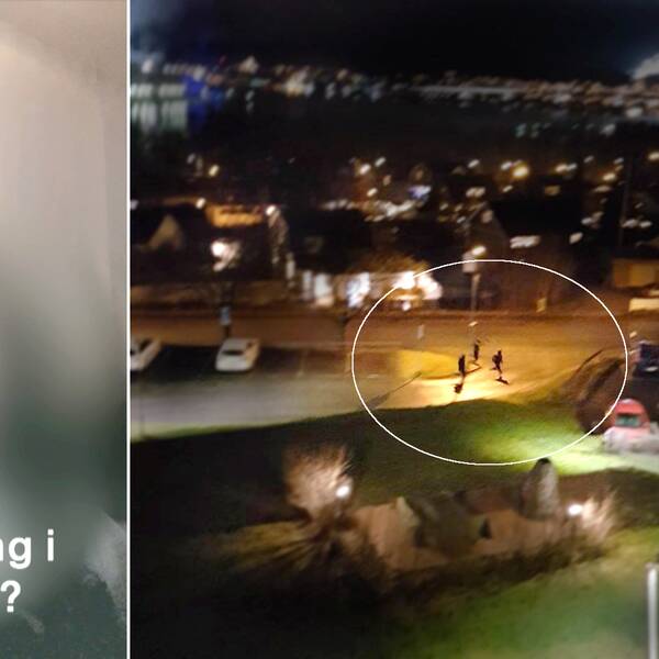 Bilder ur polisens förundersökning kring Korstamordet.