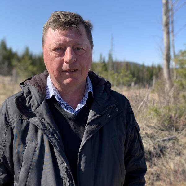 Politikern Ingemar Hellström (S) i Smedjebacken står framför skogen där en vindkraftspark ska byggas.