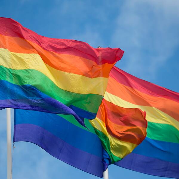 Vissa personer tycks inte gilla att Prideflaggan hissats i stadsdelen Tensta.