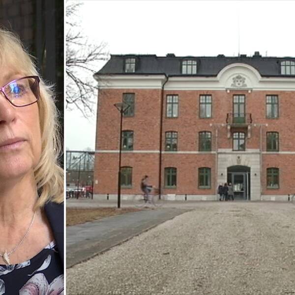 Nu ska lantbruken på Gotland kontrolleras igen | SVT Nyheter