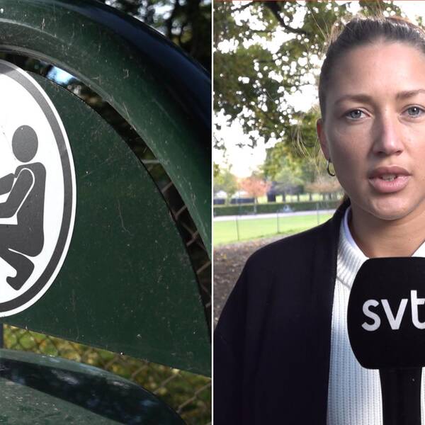 Bilden är montage. Till vänster syns en soptunna från hundgården och till höger syns SVT:s reporter Emma Hansson på plats i hundgården.