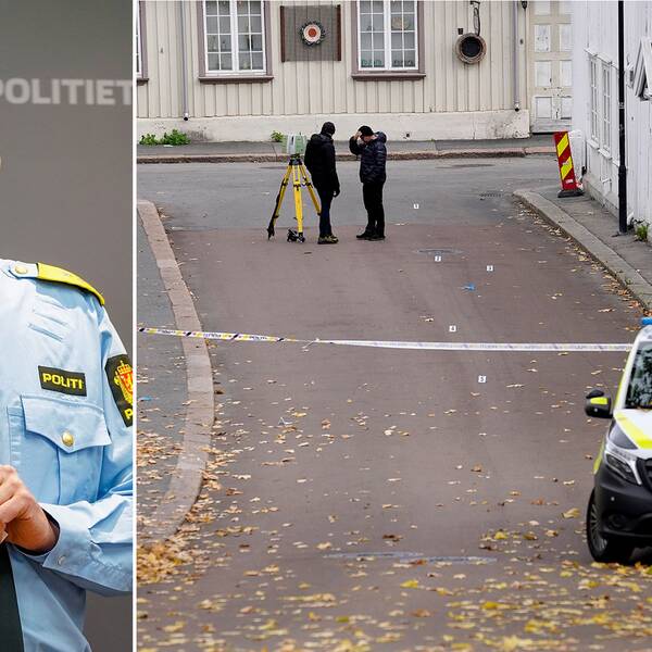Polisen: Samtliga dödades troligtvis efter att polisen anlänt