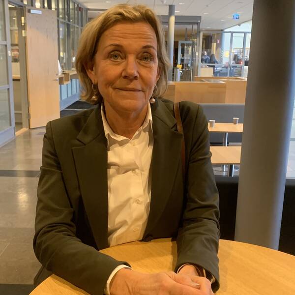Gunilla Johansson, försvarsadvokat