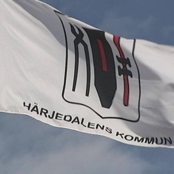 Flagga med Härjedalens kommun