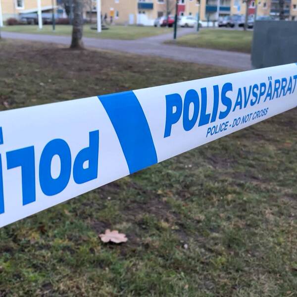 Under fredagsmorgonen sköts en person till döds i stadsdelen Ekholmen i Linköping