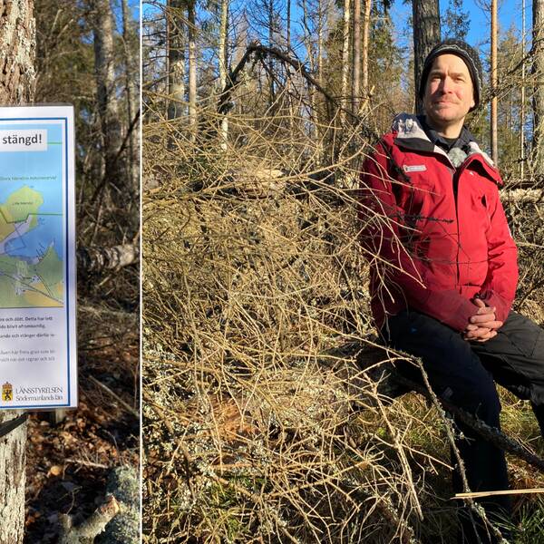 Bilden är delad i två. Den vänstra bilden är en bild på en informationsskylt från Länsstyrelsen Södermanland. På den står det att den västra delen av en vandringsled är stängd. Den högra bilden är en bild på naturrservatsförvaltaren Martin Lindqvist som sitter på en fallen gran i skogen.