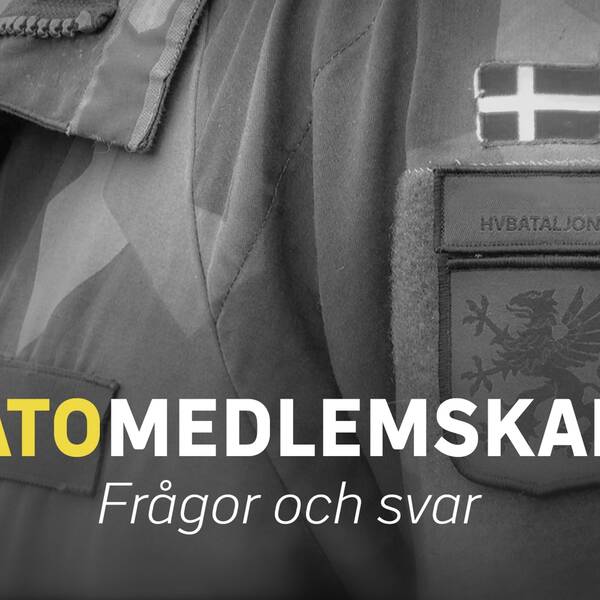 Direktsänt extrainsatt program om vad ett medlemskap i försvarsalliansen Nato skulle betyda för Sverige
