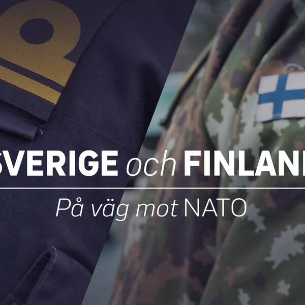 Vad betyder ett medlemskap i Nato? Samsändning mellan SVT och Svenska Yle.