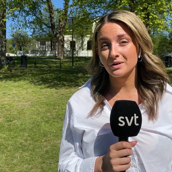 h-r-svt-s-reporter-aida-arslanovic-om-sticklingboomen-svt-nyheter