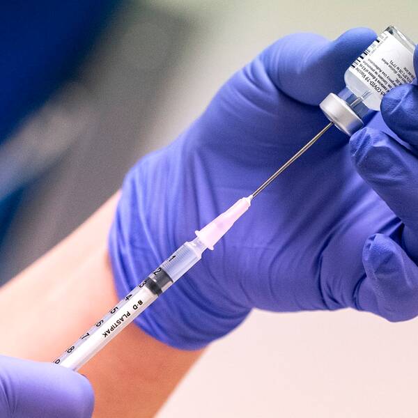 En behandskad hand drar upp vaccin i en spruta.