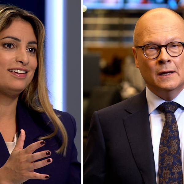 Mats Knutson ”Kan skapa problem för Magdalena Andersson” SVT Nyheter